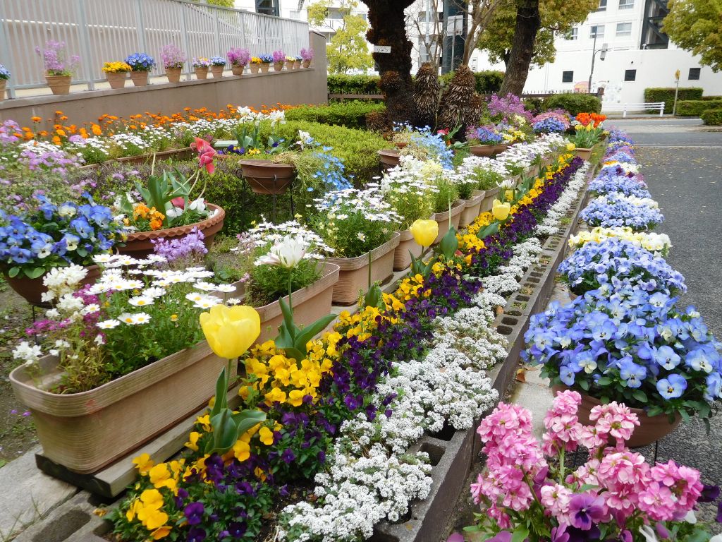 芦屋 市立 潮見 小学校
